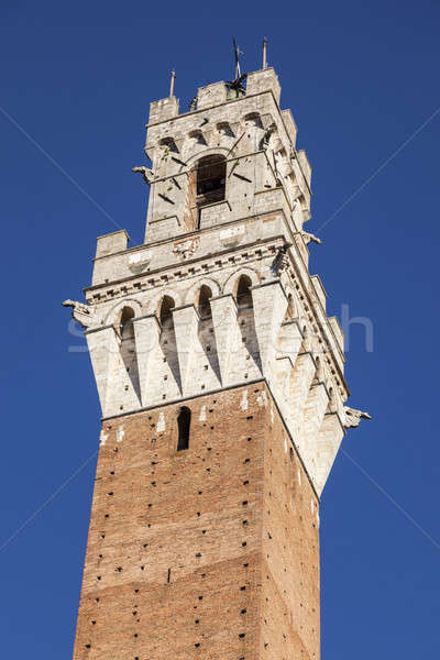 Siena town hall   Stock photo © benkrut