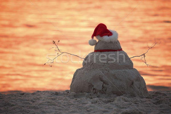 觀看 日落 聖誕節 天 佛羅里達 美國 商業照片 © benkrut