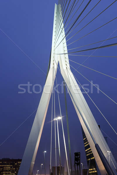 Erasmus Bridge.  Rotterdam, South Holland, Netherlands. Stock photo © benkrut