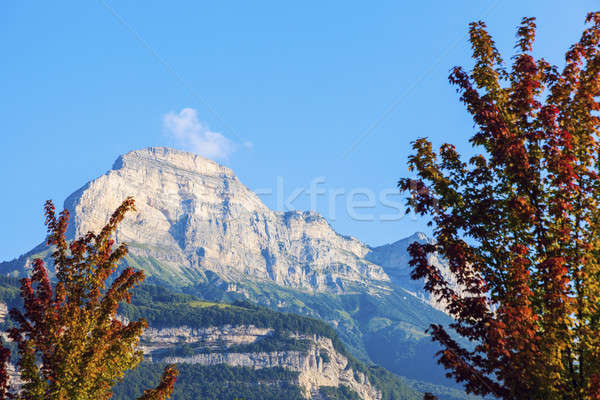 Chartreuse Mountains seen from Grenoble Stock photo © benkrut