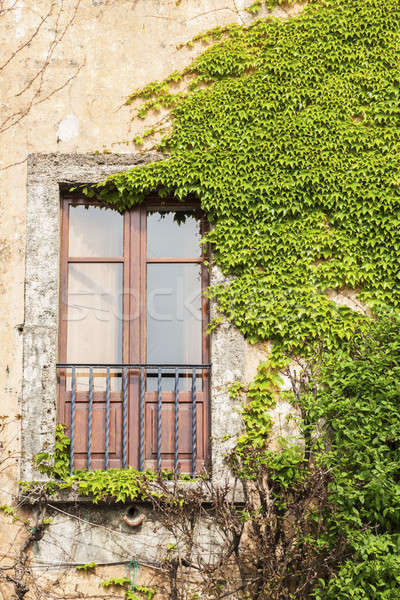 Another Italy window Stock photo © benkrut