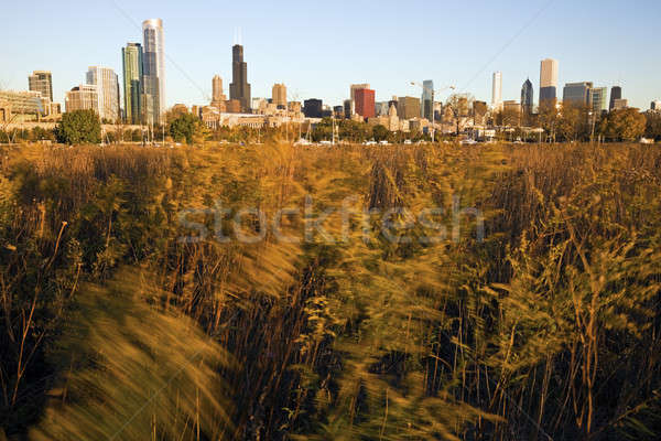 Chicago from Northerly Island Stock photo © benkrut