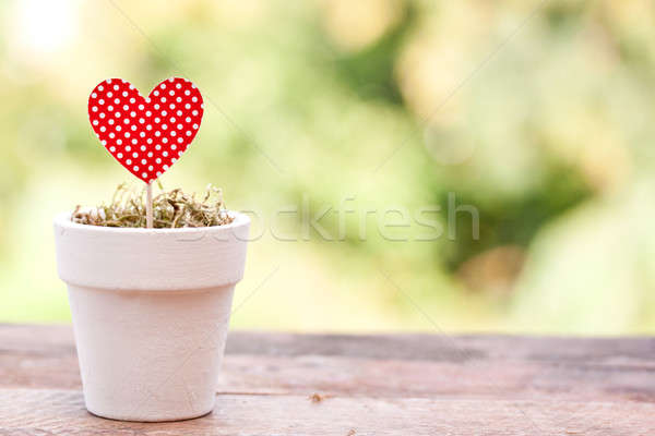Vermelho papel coração pote flor Foto stock © bernashafo