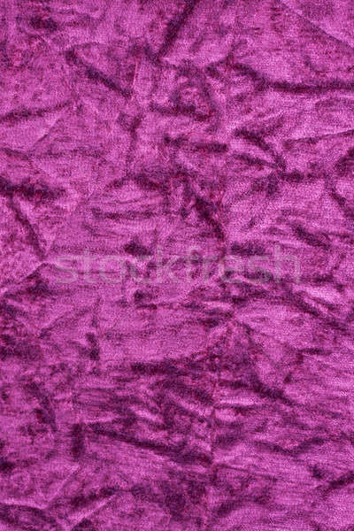 purple velvet fabric Stock photo © bernashafo
