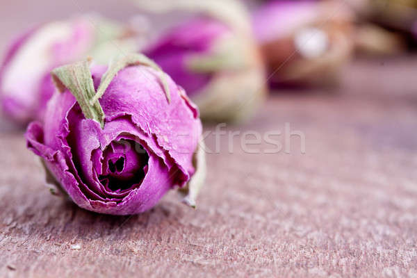 Foto d'archivio: Essiccati · rosa · fiore · fiori · natura · foglia