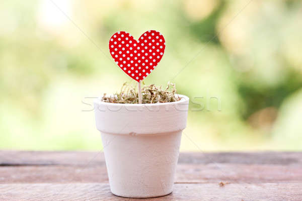 Rouge à pois papier coeur pot fleur [[stock_photo]] © bernashafo