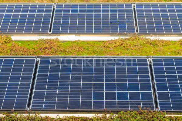 太陽能電池板 屋頂 綠色 花園 天空 家 商業照片 © Bertl123