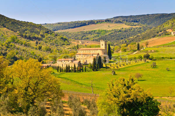 Foto stock: Abadía · Toscana · Italia · hierba · verano · campo