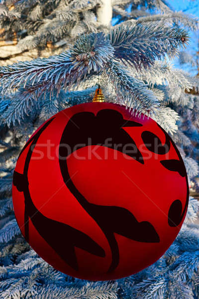 Karácsonyfa labda közelkép akasztás fa természet Stock fotó © Bertl123