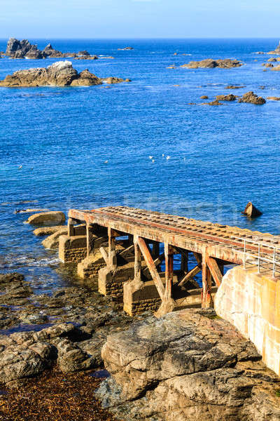 Jaszczurka punkt cornwall Zjednoczone Królestwo plaży lata Zdjęcia stock © Bertl123