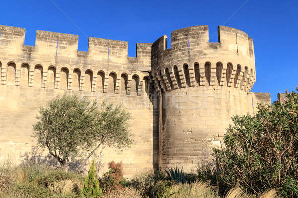 Avignon Medieval City Wall Stock photo © Bertl123