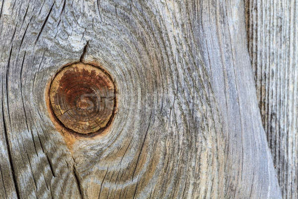 Wooden plank with trunk knot from old branch  Stock photo © Bertl123