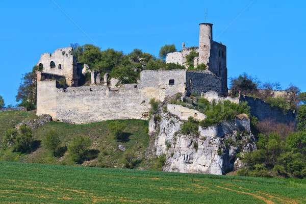 Falkenstein Castle Ruins, Lower Austria Stock photo © Bertl123