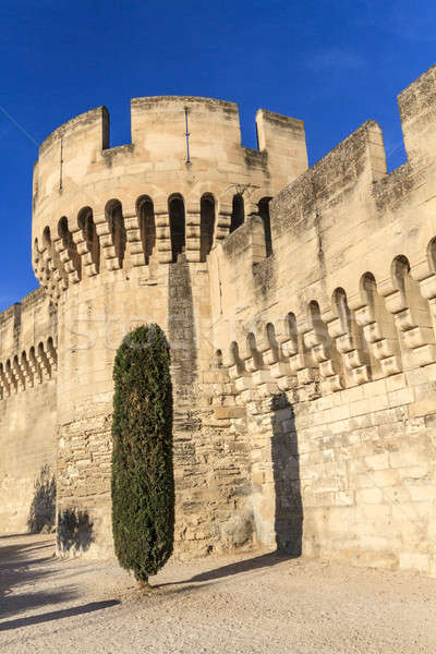 Avignon Medieval City Wall Stock photo © Bertl123