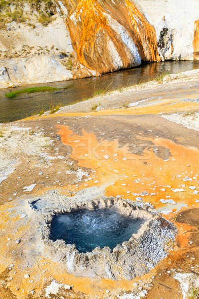 Park chinesisch Frühling Geysir Himmel Natur Stock foto © Bertl123