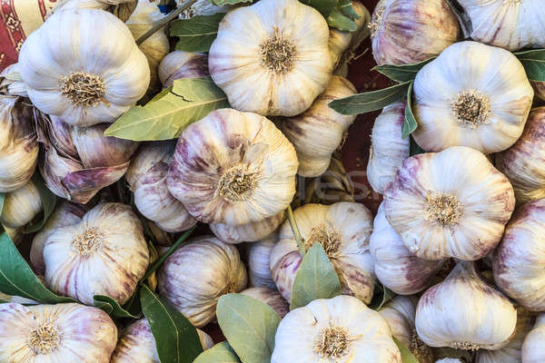 Fresh garlic on a heap at a local market Stock photo © Bertl123