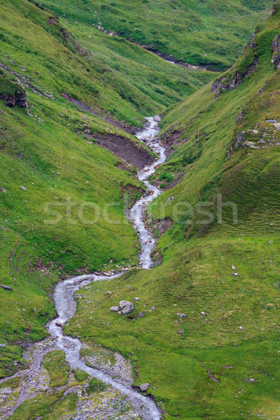 Alpine landscape with greek running down the mountain Stock photo © Bertl123