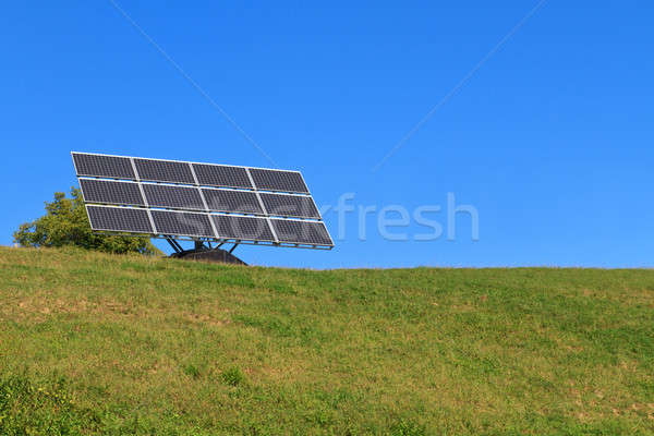 Verde luncă Blue Sky cer iarbă Imagine de stoc © Bertl123