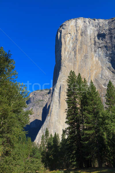 Yosemite ulusal parkı Kaliforniya gökyüzü su ağaç manzara Stok fotoğraf © Bertl123