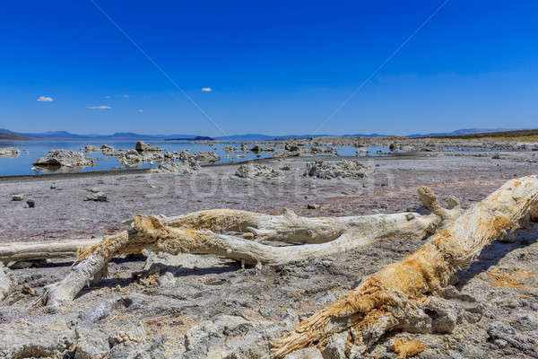 Mono Lake Shore and Tufa Formations, California Stock photo © Bertl123