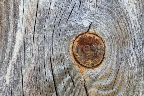Wooden plank with trunk knot from old branch  Stock photo © Bertl123