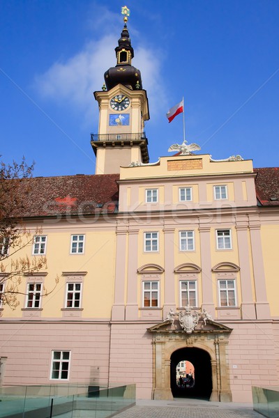 Linz - Landhaus / Upper Austrian Landtag Stock photo © Bertl123