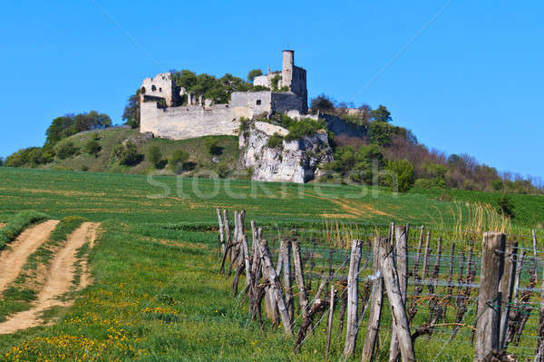 Falkenstein Castle Ruins, Lower Austria Stock photo © Bertl123