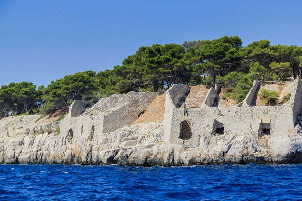 Wybrzeża południowy Francja drzewo charakter krajobraz Zdjęcia stock © Bertl123