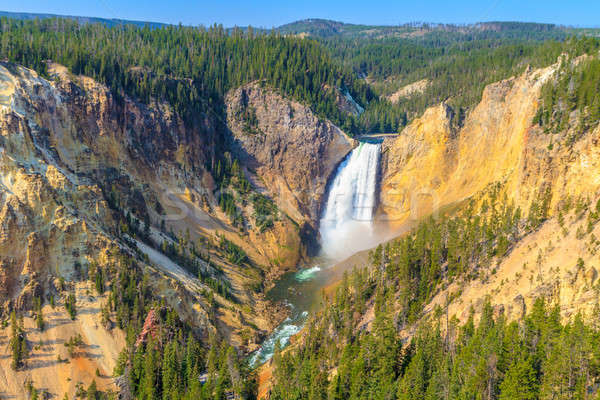 Obniżyć Grand Canyon parku Wyoming wody drzewo Zdjęcia stock © Bertl123