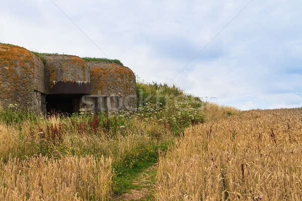 Old German bunker in Normandy, France Stock photo © Bertl123