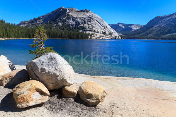 Stock photo:  Yosemite National Park, View of Lake Tenaya (Tioga Pass), Calif