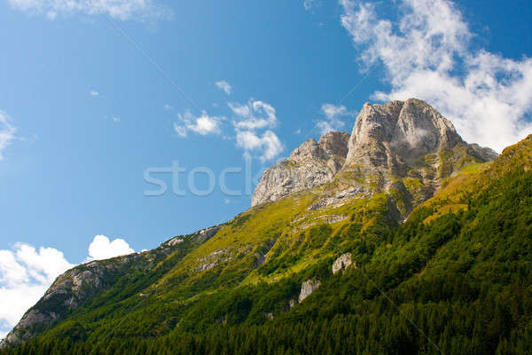 Górskich granicy Włochy Austria turystyka wspinaczki Zdjęcia stock © Bertl123