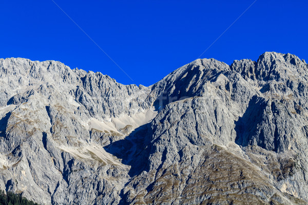 Górskich europejski alpy drzewo wiosną Zdjęcia stock © Bertl123