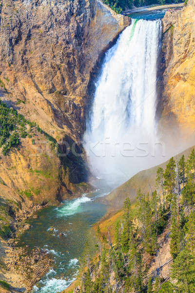 Lower Falls of the Grand Canyon of the Yellowstone National Park Stock photo © Bertl123