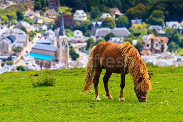 Cliffs near Etretat and Fecamp, Normandy, France Stock photo © Bertl123