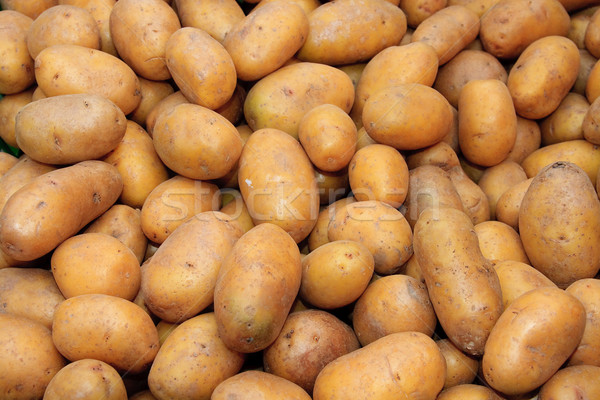 Basket of Potatoes Stock photo © Bertl123