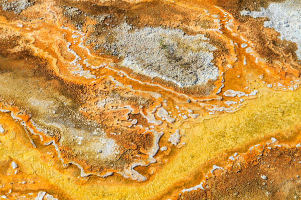 Microbial mats in geothermal pools, Yellowstone National Park ,W Stock photo © Bertl123
