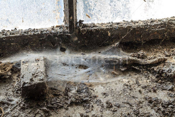 Old window with stains and cobwebs  Stock photo © Bertl123