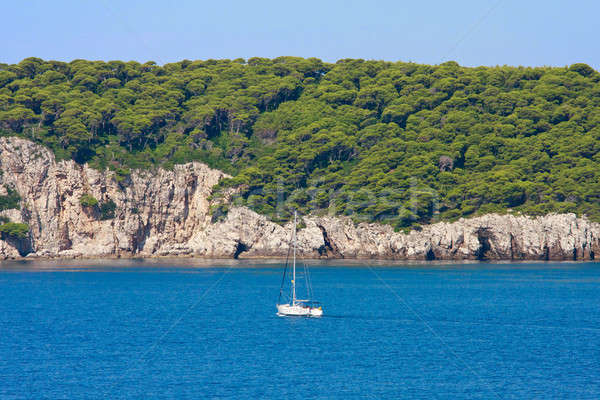 Stok fotoğraf: Dalmaçyalı · yelkencilik · tekne · Hırvatistan · ağaç