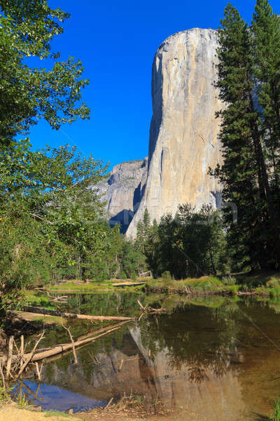 El Capitan, Yosemite National Park, California Stock photo © Bertl123