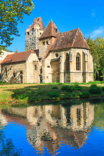 Pottendorf Castle and Gothic Church Ruins near Eisenstadt, Austr Stock photo © Bertl123