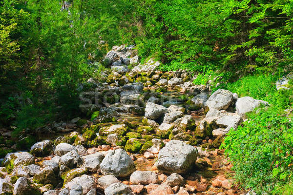 Foto stock: Pitoresco · alpino · rio · Eslovenia · água · primavera