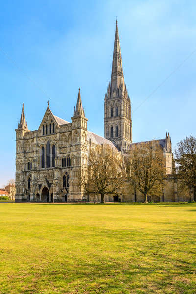 Stock photo: Salisbury Cathedral Front view and park on sunny day, South Engl