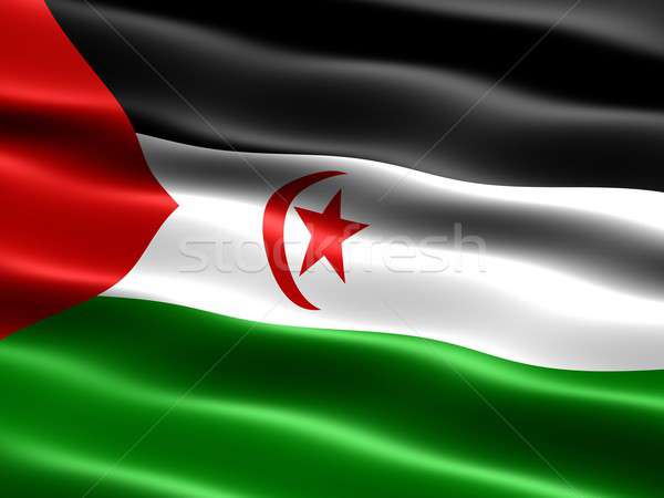 Bandiera occidentale sahara computer generato illustrazione Foto d'archivio © bestmoose