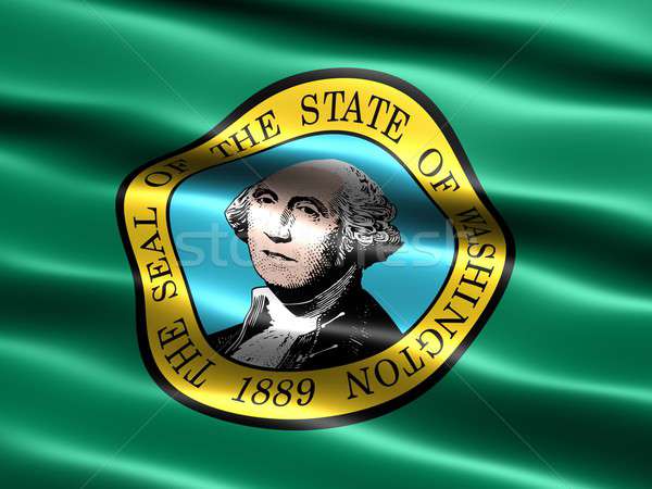 флаг Вашингтон компьютер генерируется иллюстрация шелковистый Сток-фото © bestmoose