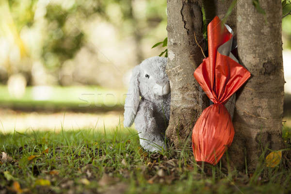 Oeufs oeuf rouge papier arbre lapin Photo stock © betochagas