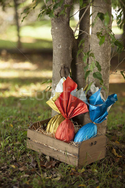 Foto stock: Huevos · cesta · árbol · hierba · chocolate · huevo
