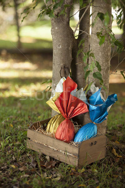 Oeufs panier arbre herbe chocolat oeuf [[stock_photo]] © betochagas