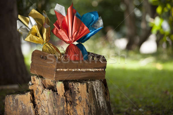 Jaj koszyka lesie trawy czekolady jaj Zdjęcia stock © betochagas