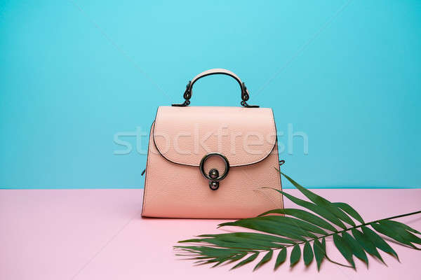 Femenino cuero bolsa elegante luz marrón Foto stock © bezikus